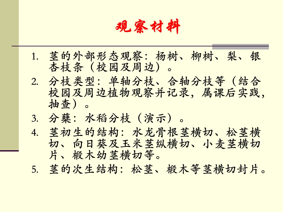 实验四被子植物茎和叶结构观察.ppt_第3页