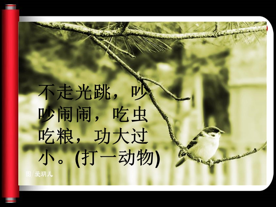 隔窗看雀霞.ppt_第1页