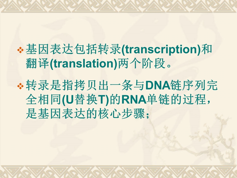 分子生物学第三章生物信息的传递上.ppt_第3页