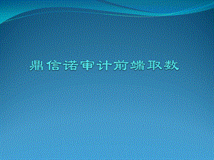 鼎信诺审计前端取数讲解.ppt