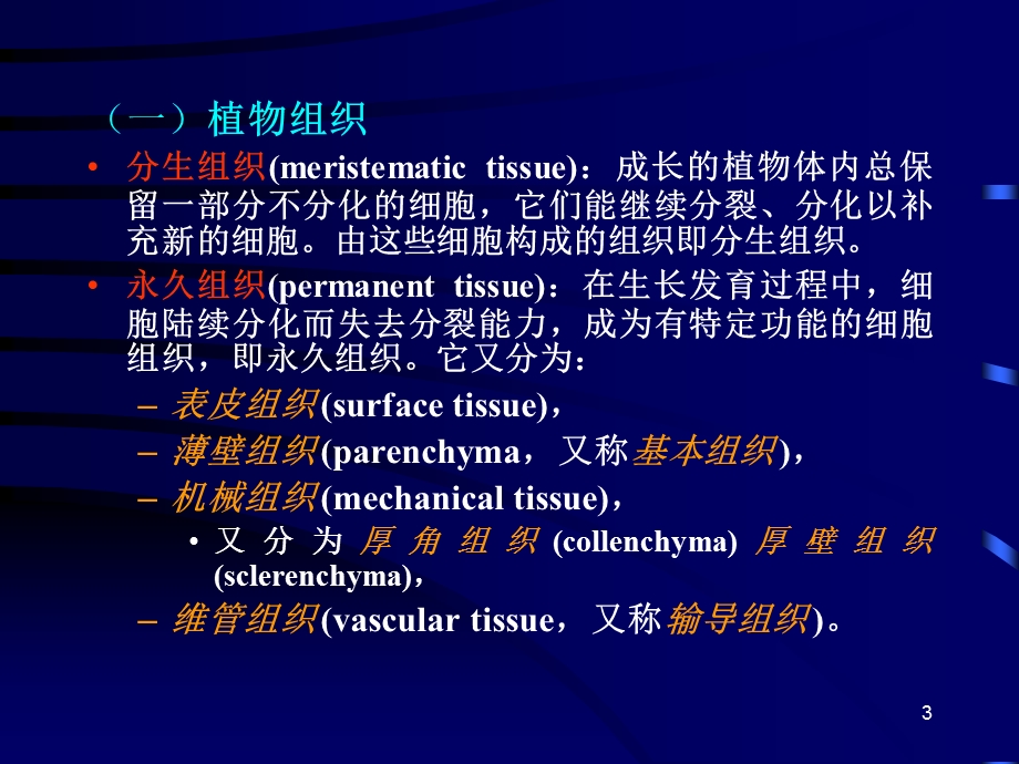 动植物的组织、器官与系统.ppt_第3页