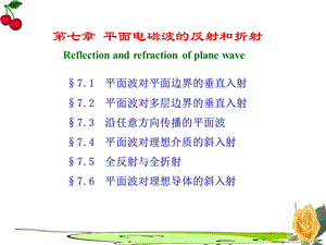 平面电磁波的反射和折射.ppt