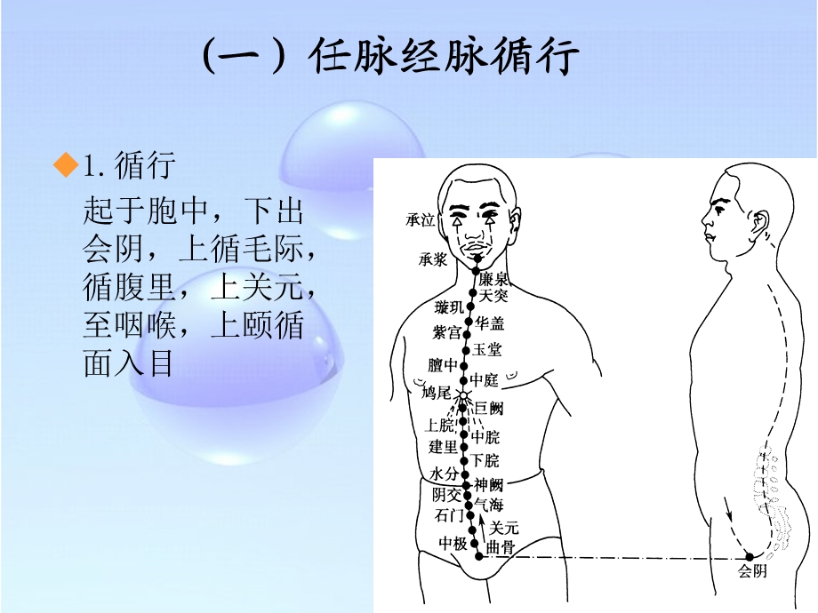 经络学任脉.ppt_第3页