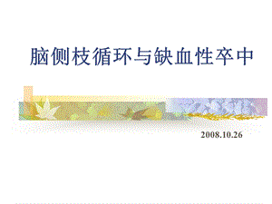 脑缺血侧枝循环治疗(公司).ppt