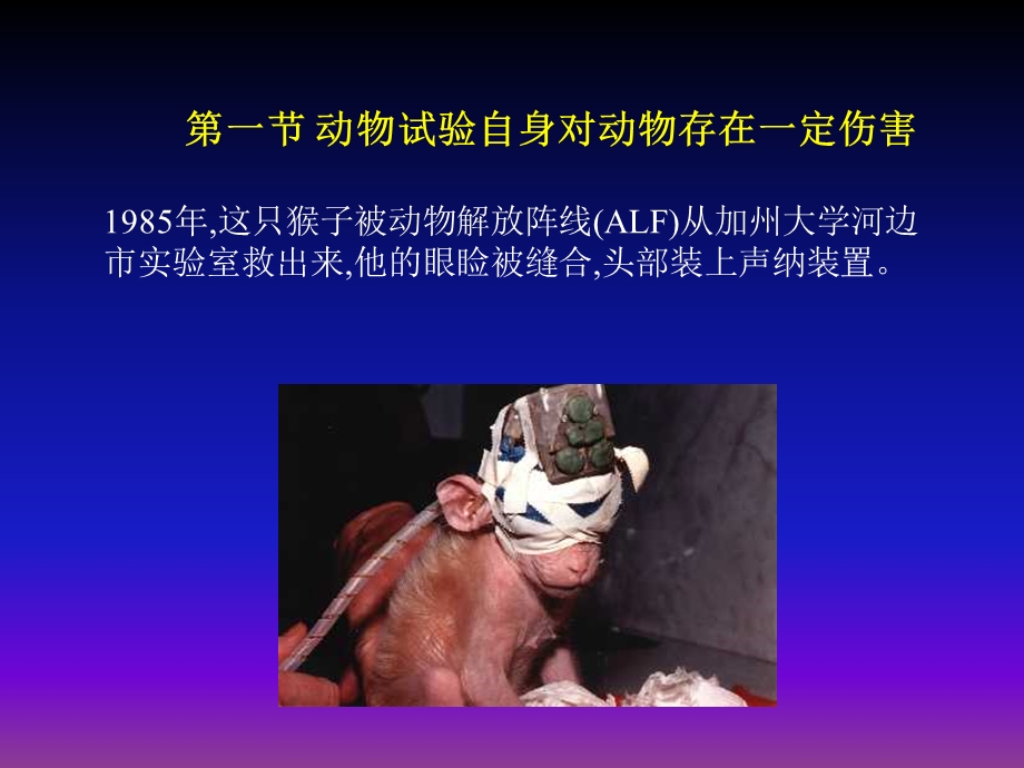 动物试验与动物保护.ppt_第3页