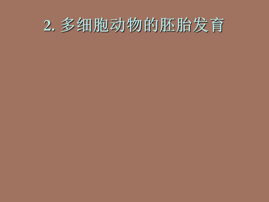 多细胞动物的胚胎发育.ppt_第1页