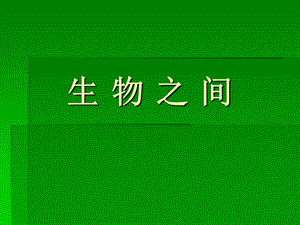 小学自然科学《食物链和食物网》PPT课件.ppt