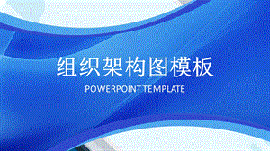 公司组织架构模板.ppt