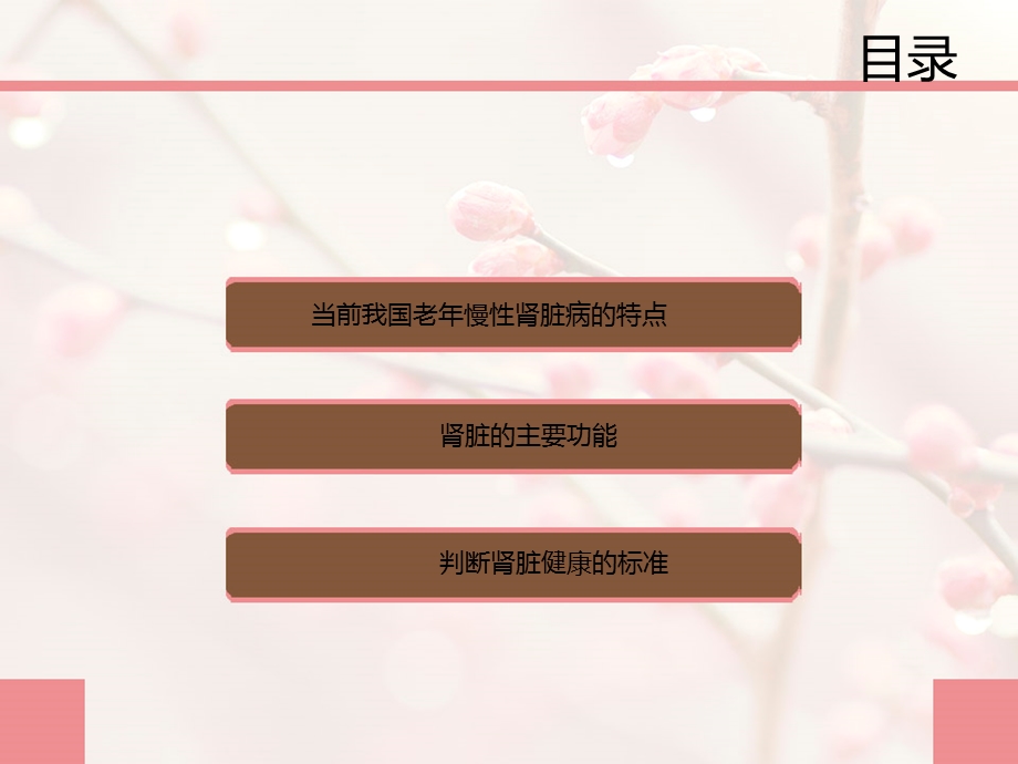 老年慢性肾脏病科普3月.ppt_第2页