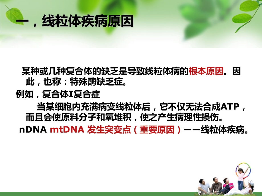 线粒体与疾病.ppt_第3页