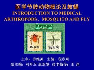 医学节肢动物概论及蚊蝇.ppt