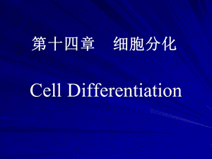 第十四章细胞分化.ppt