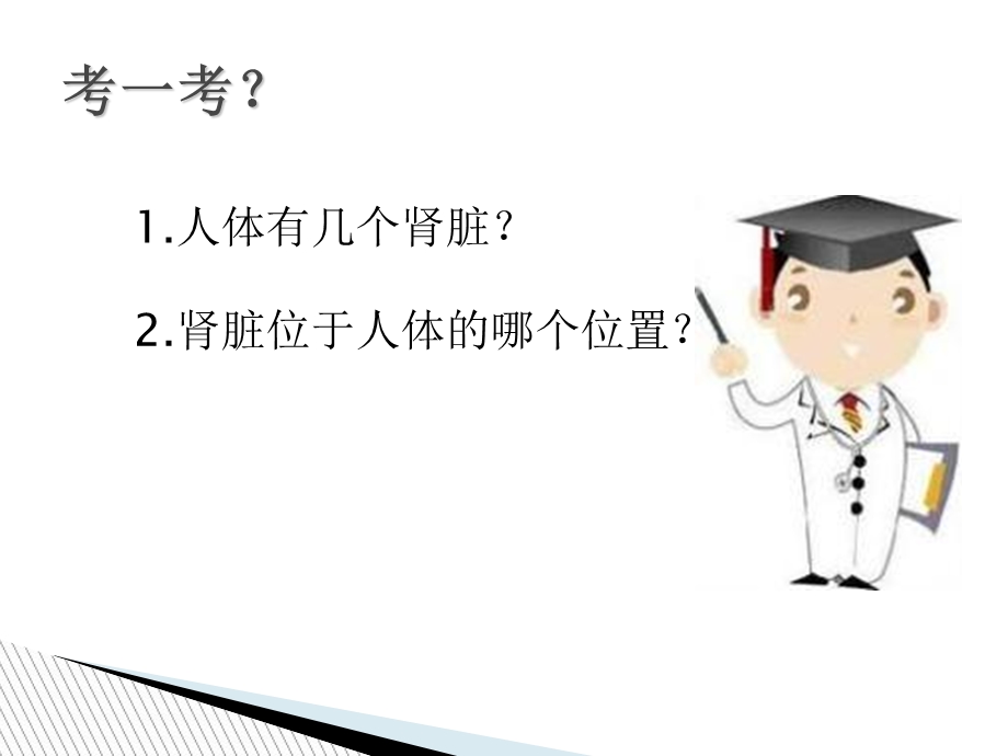 关爱肾脏健康讲座.ppt_第3页