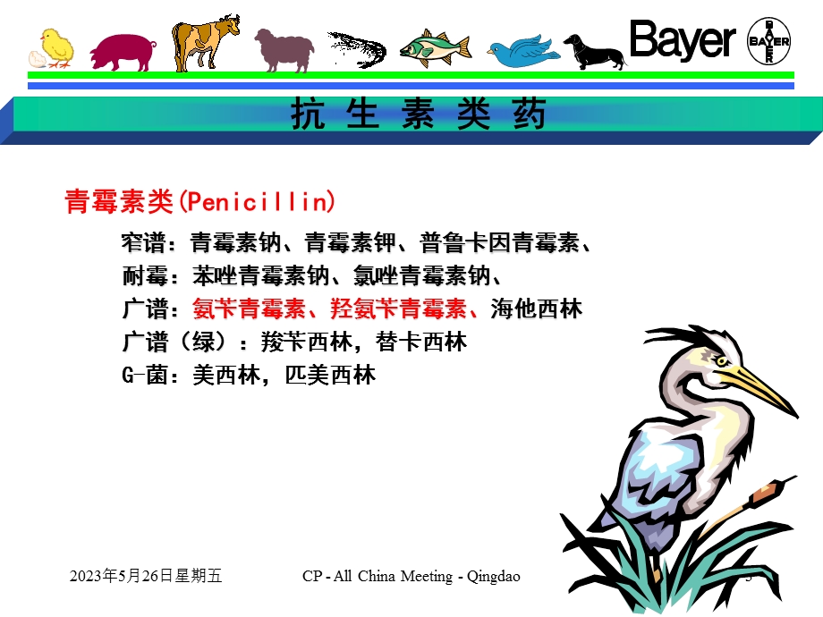 抗 微 生 物 药.ppt_第3页