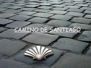 CAMINO DE SANTIAGO西班牙语 罗马式建筑圣地亚哥之路.ppt