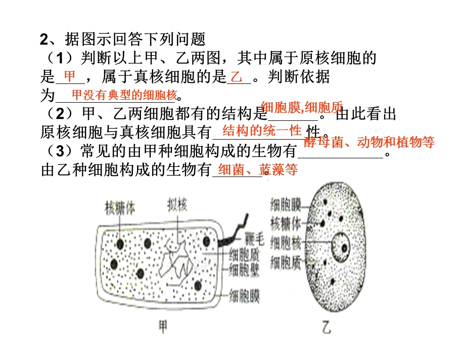 学业水平习题总复习.ppt_第2页