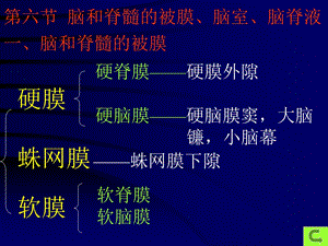 脑脊膜和血管.ppt