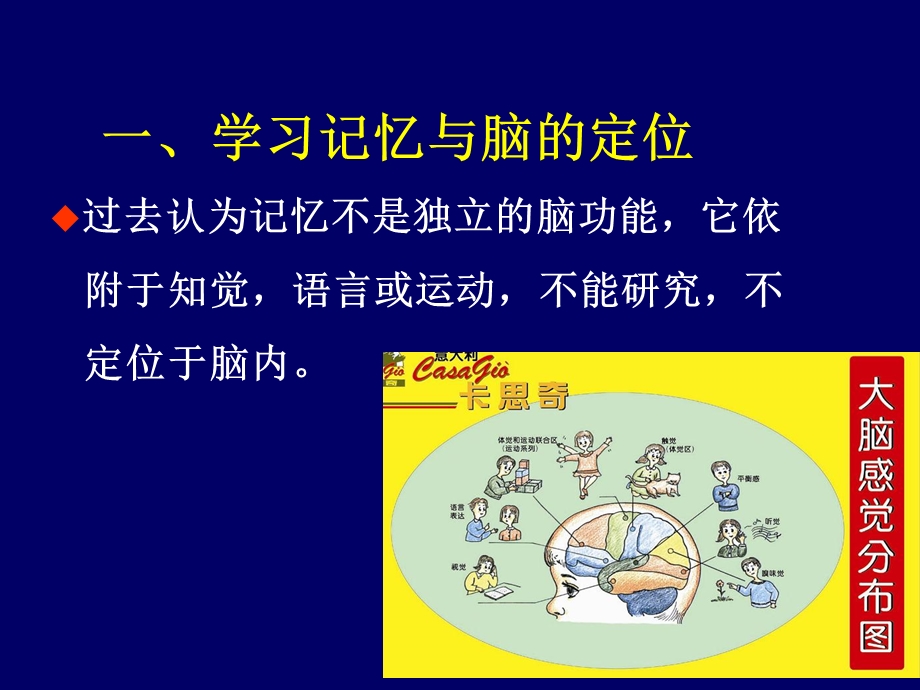 学习和记忆——脑科学简介ppt课件.ppt_第3页