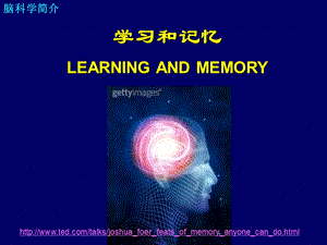 学习和记忆——脑科学简介ppt课件.ppt