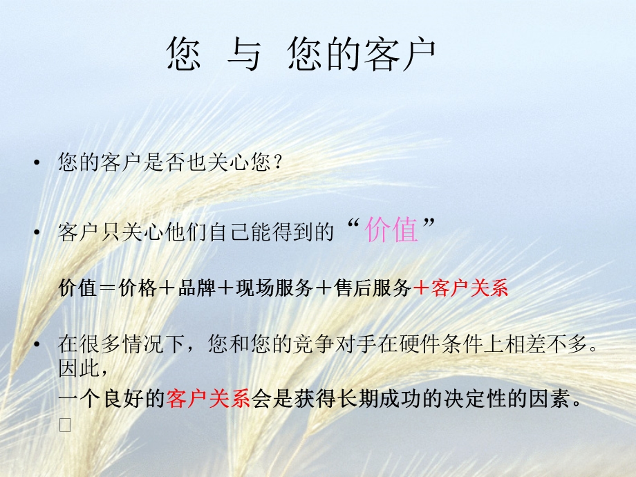 客户关怀计划(米其林).ppt_第2页