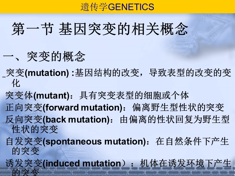 第十三部分基因突变教学课件.ppt_第2页