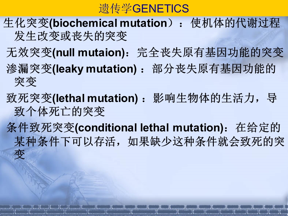 第十三部分基因突变教学课件.ppt_第3页