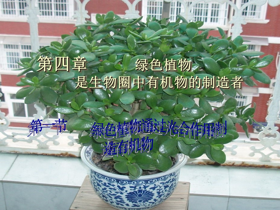 绿色植物通过光合作用制造有机物.ppt_第1页