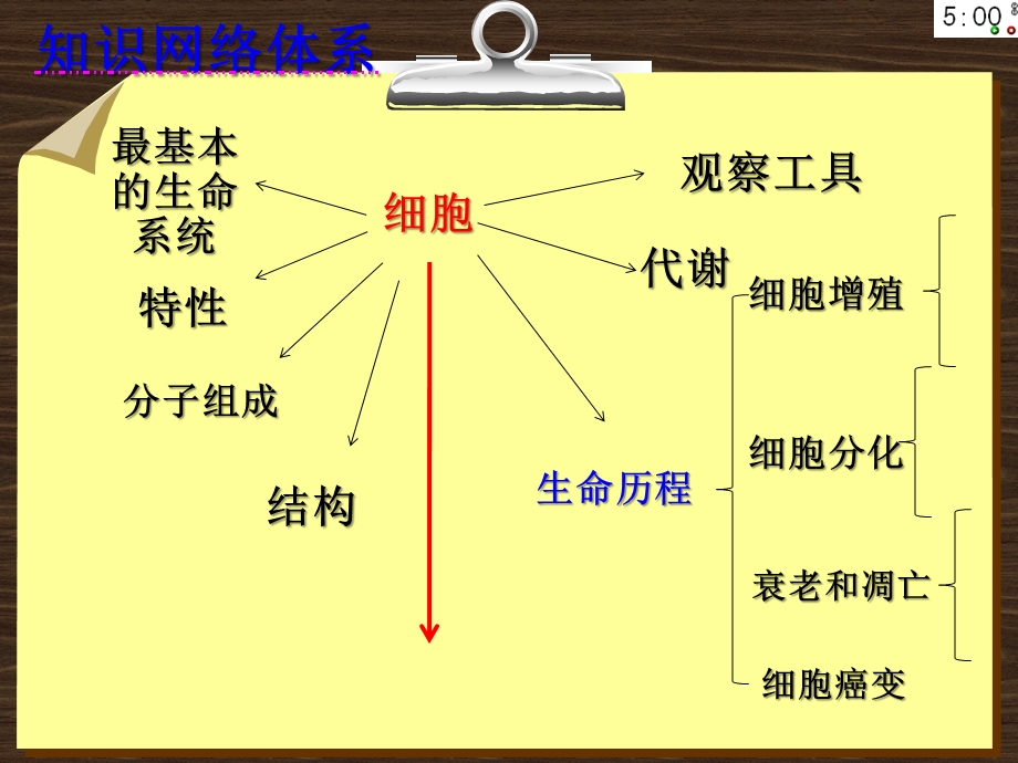 第十五讲细胞的增殖一教学课件.ppt_第3页