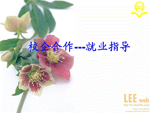 校企合作就业指导.ppt