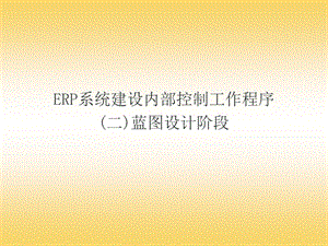 ERP系统建设内部控制工作程序蓝图设计阶段.ppt