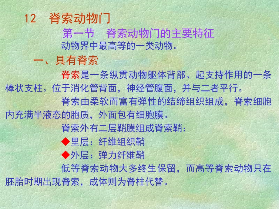 L脊索动物门.ppt_第2页