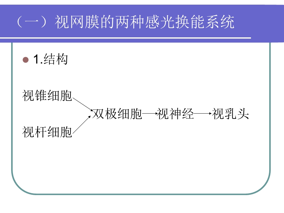 二眼的感光功能.ppt_第3页