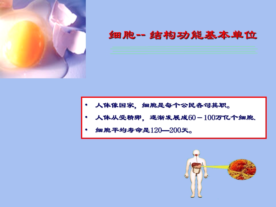 医学病理知识.ppt_第3页