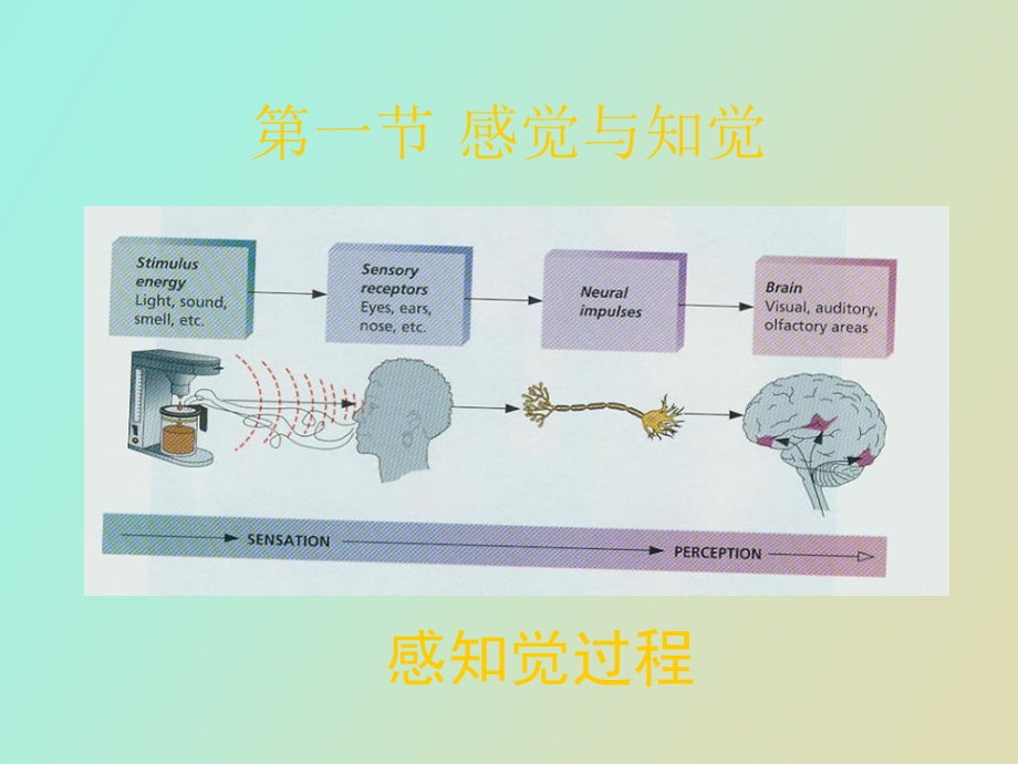 医学心理学第三章认知过程.ppt_第3页