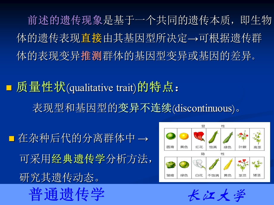 第十二章数量遗传.ppt_第2页