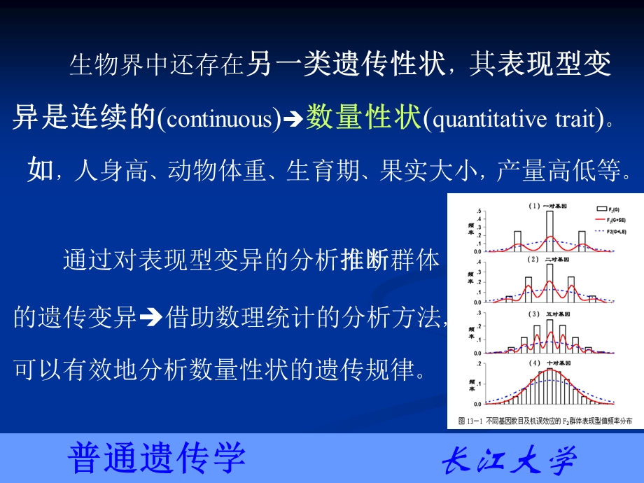 第十二章数量遗传.ppt_第3页