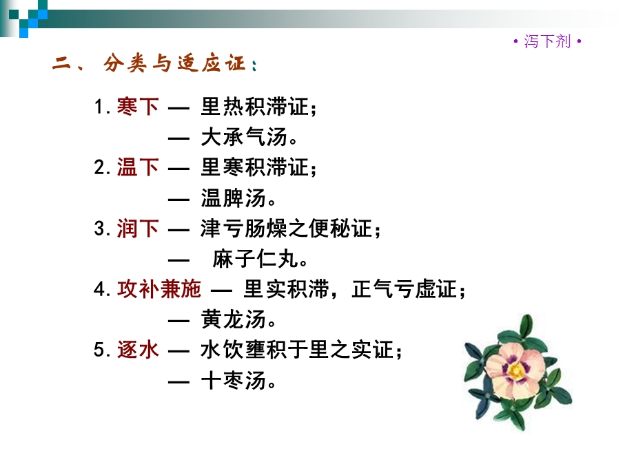 第五部分泻下剂.ppt_第3页