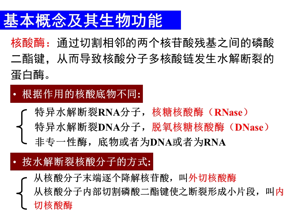 第二章基因工程的酶学基础.ppt_第2页