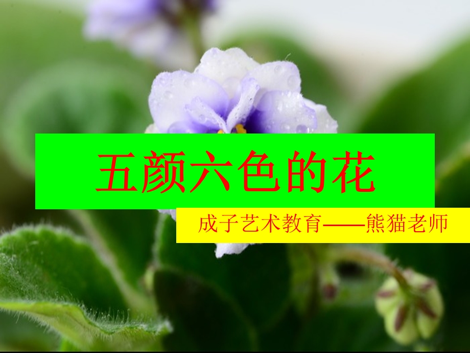 五颜六色的花儿.ppt_第1页