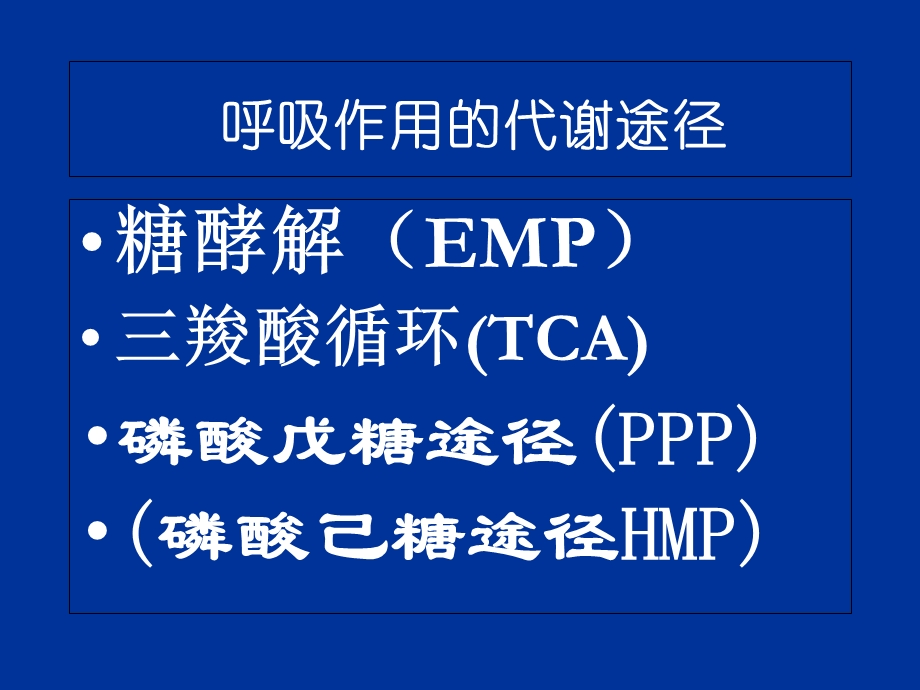 呼吸作用的代谢途径.ppt_第1页