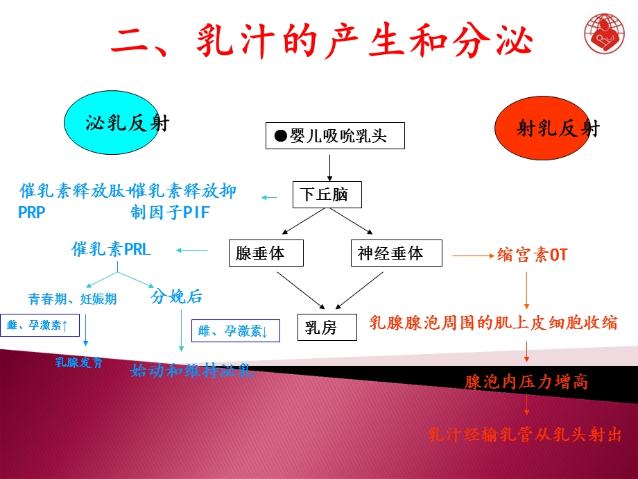 孕妇学校：母乳喂养指导.ppt_第3页