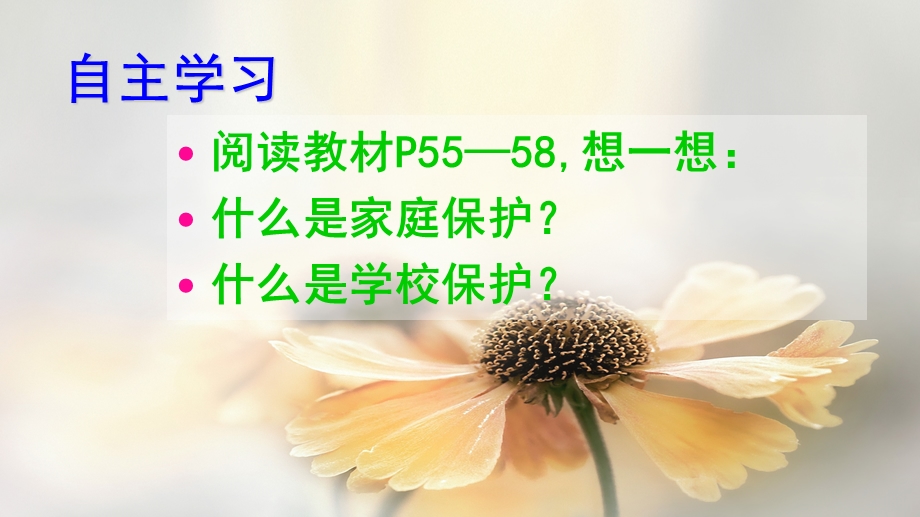 学校与家庭的呵护.ppt_第2页