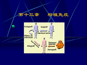 第十三章移植免疫.ppt