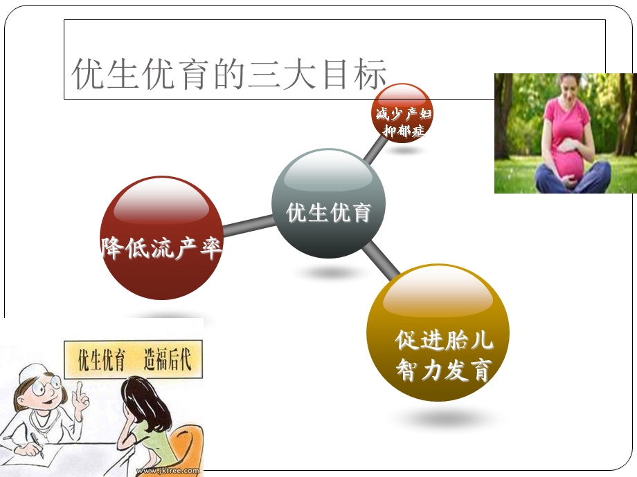 孕期母子安康叶酸基因监测.ppt_第2页