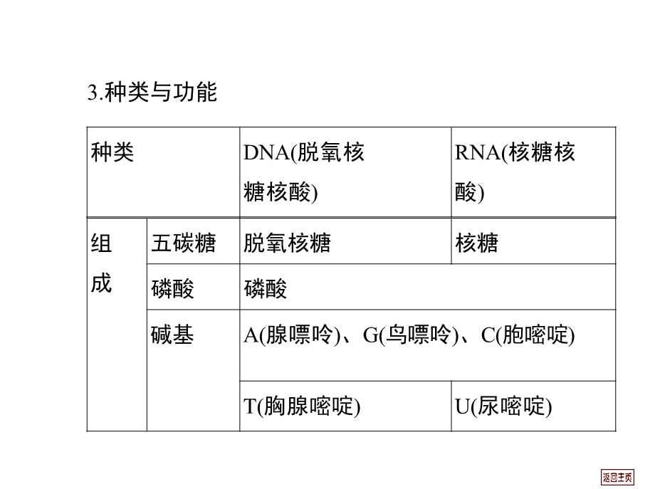 细胞中的核酸、糖类和脂质.ppt_第2页