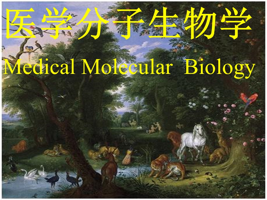 医学分子生物学MedicalMolecularBiology.ppt_第1页