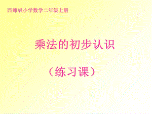 二年级数学上册乘法的初步认识练习题-课件.ppt