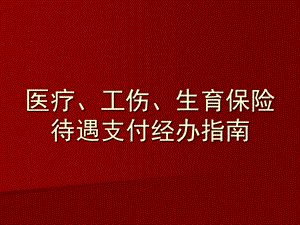 医疗工伤生育保险待遇支付经办指南.ppt