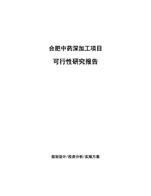 合肥中药深加工项目可行性研究报告.docx