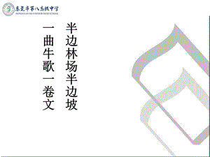 半边林场半边坡一曲牛歌一卷.ppt